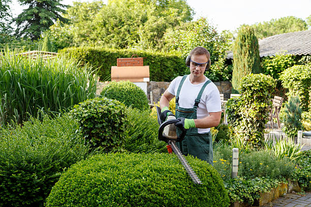 Lawn Pest Prevention in New Egypt, NJ